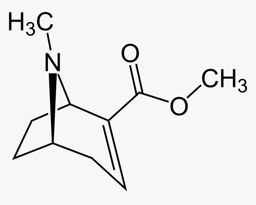 File - Methylecgonidine - Structure Of Ethyl Methyl Ether, HD Png Download, Free Download