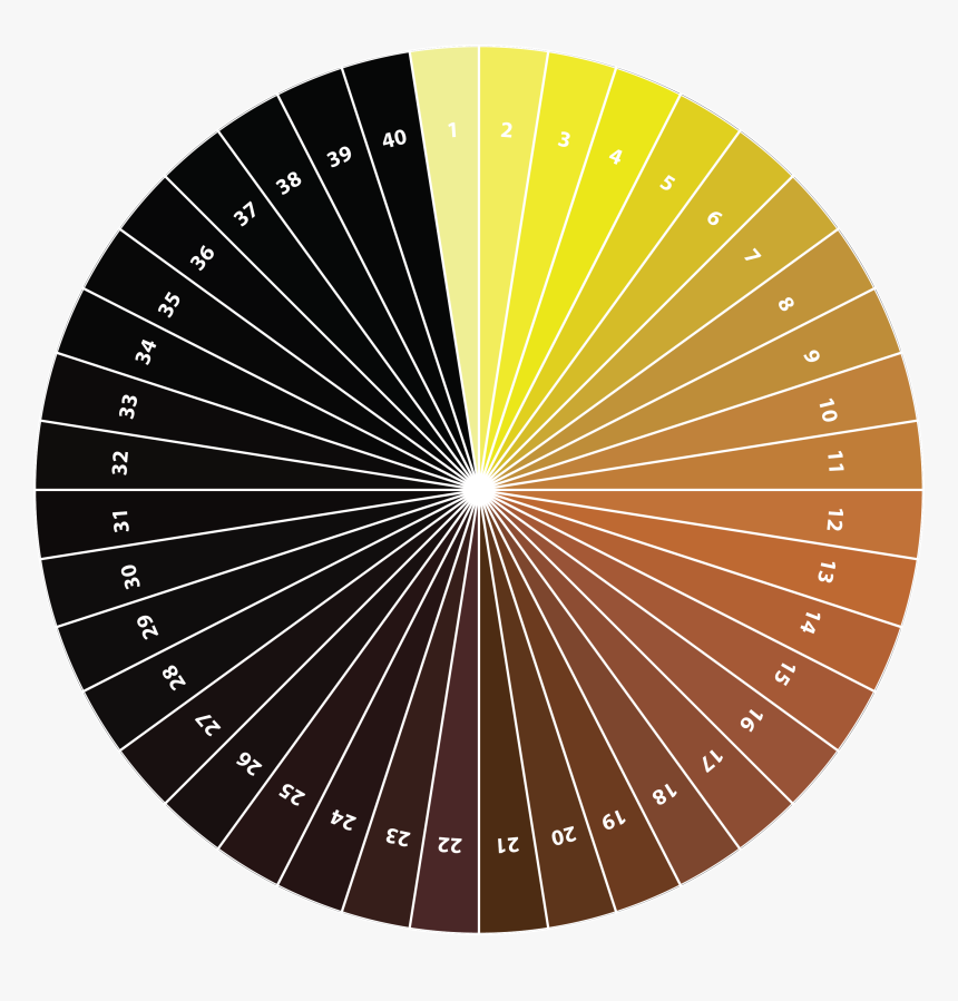 Pale Colour Wheel, HD Png Download, Free Download