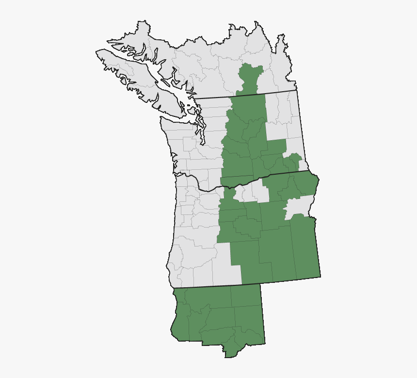 Poison Hemlock Pacific Northwest Range Map, HD Png Download, Free Download