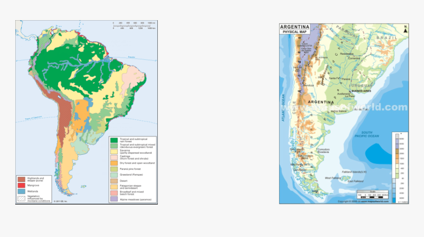 Picture - South American Forest Map, HD Png Download, Free Download