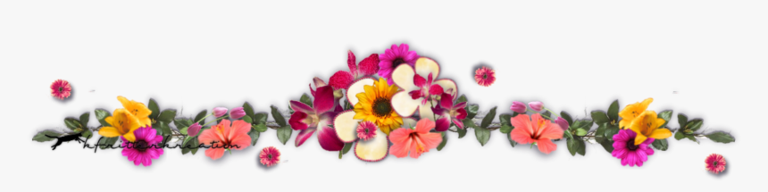 Ftestickers Flowers Bouquet Divider Border Colorful, HD Png Download ...
