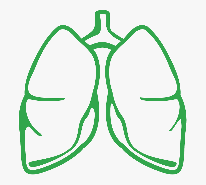 Lungs Clipart Lung Transplant, Lungs Lung Transplant, HD Png Download, Free Download