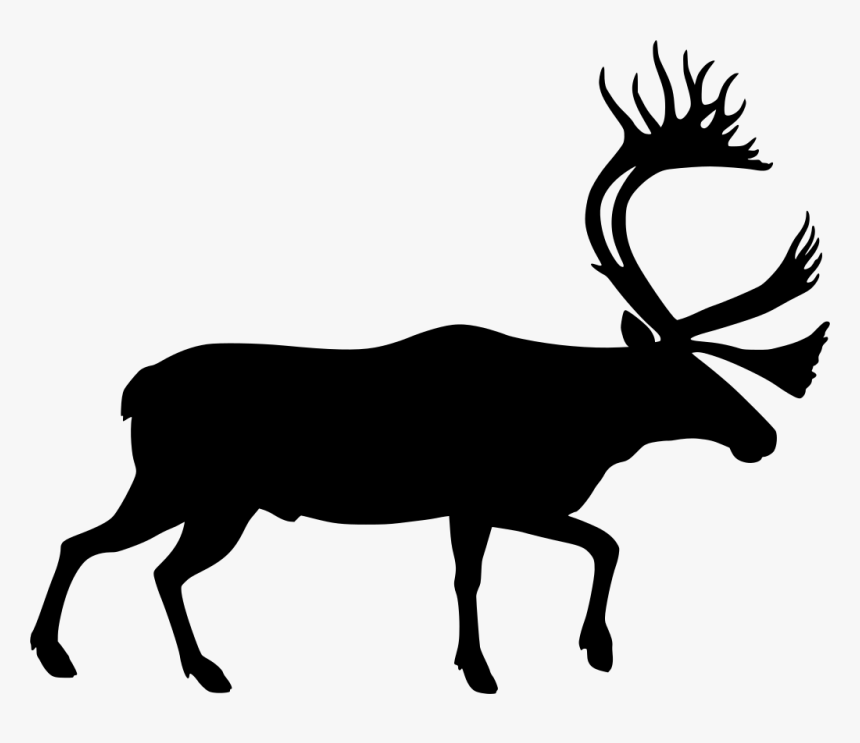 Moose Walk Cartoon, HD Png Download, Free Download