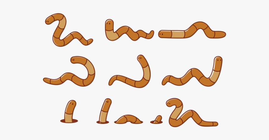 Earthworm Cartoon Png, Transparent Png, Free Download