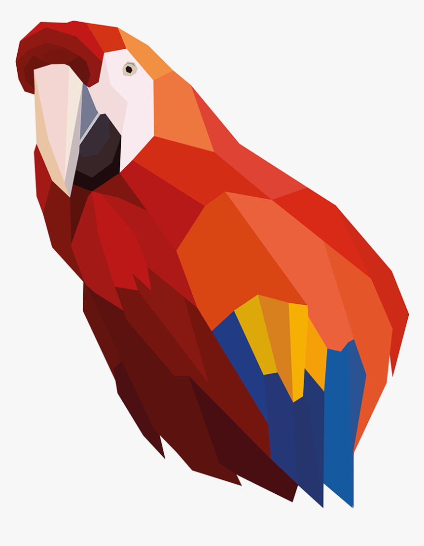 Macaw, HD Png Download, Free Download