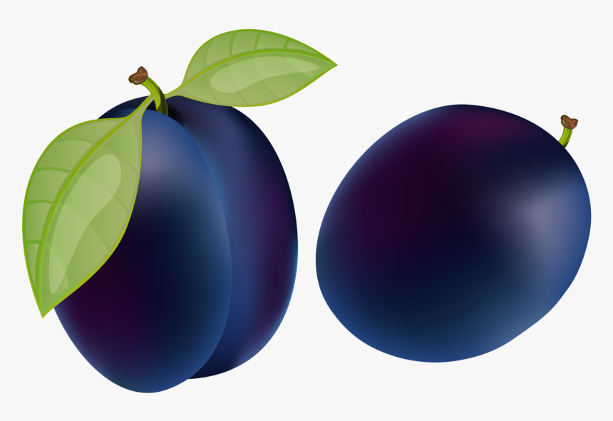 Clip Art , Png Download - Beach Plum, Transparent Png, Free Download