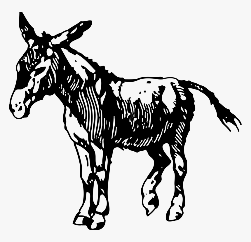 Donkey Drawing Download Graphic Arts Cc0 - Donkey Black And White, HD Png Download, Free Download