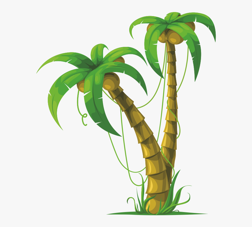 Coconut Palm And Coconut Next To Each Other Exotic Plants And Fruits Vector  Drawing For Printing Stock Illustration - Download Image Now - iStock
