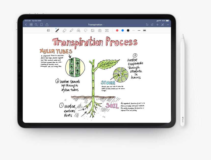 Goodnotes - Good Notes 5 Vs Notability, HD Png Download, Free Download