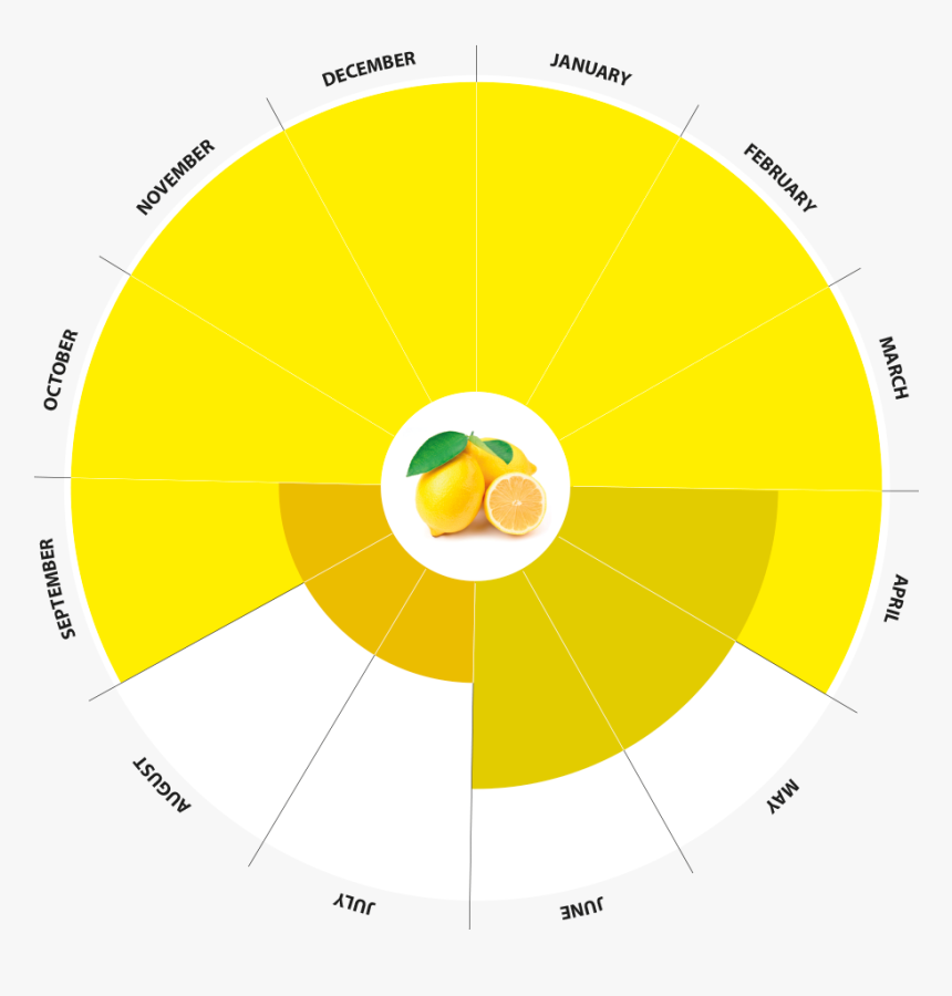 Lemon Production Calendar Bio - Circle, HD Png Download, Free Download