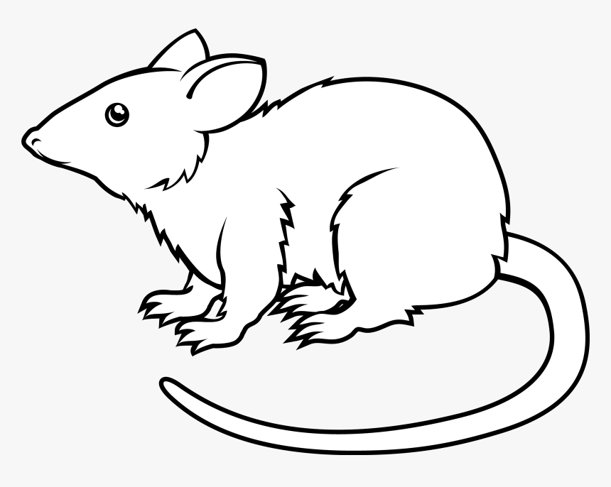 black-and-white-animated-rat-png-transparent-png-kindpng