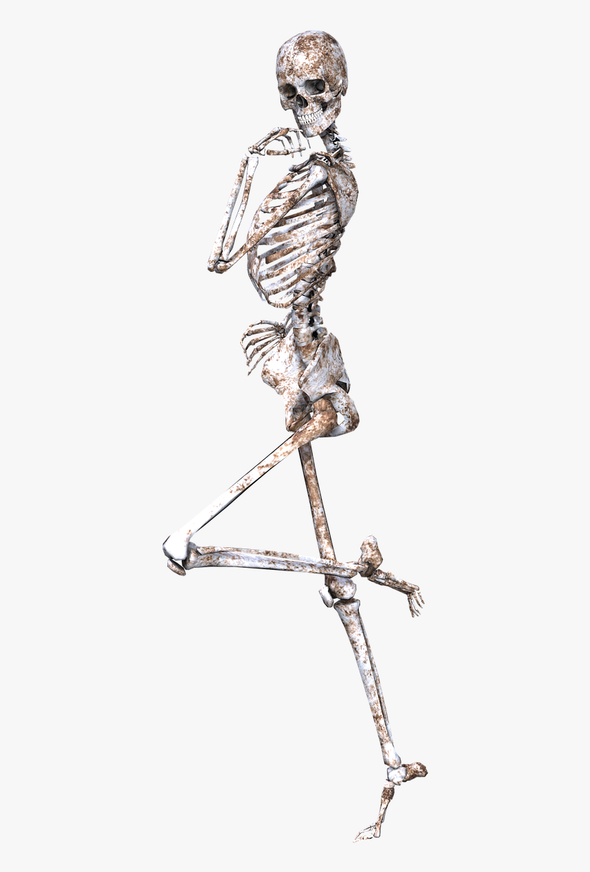 Pose Skeleton Drawings: Female | Art Amino