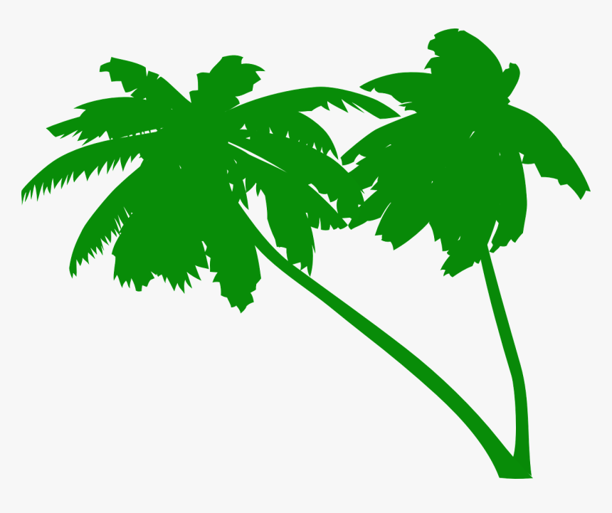 Palms, Coconut Tree, Coconut Palms, Tropical, Beach - Green Palm Tree Vector, HD Png Download, Free Download