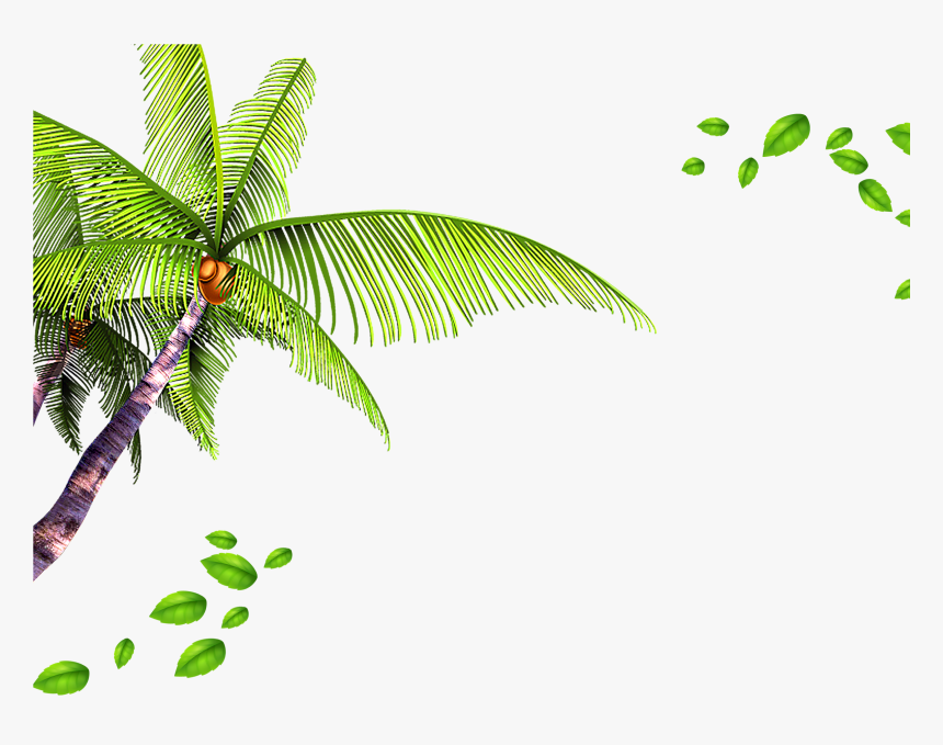 Palm Tree Leaves Background - Leaves Background Png, Transparent Png, Free Download