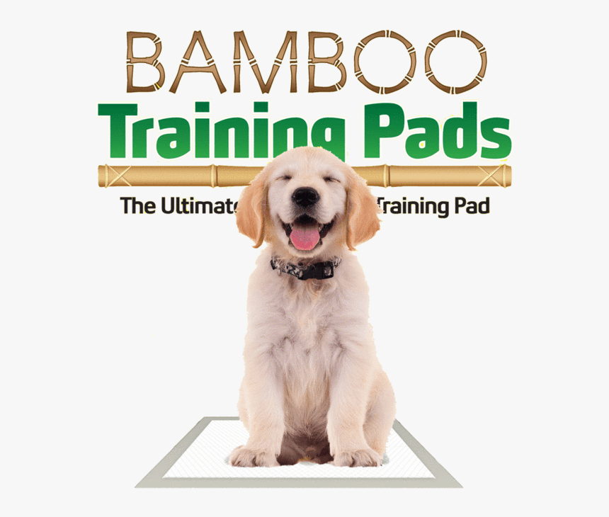 Bamboo Training Pads - Companion Dog, HD Png Download, Free Download