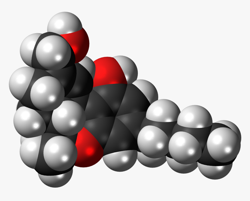 11 Hydroxy Thc 3d Spacefill - Thc Molecule 3d Model, HD Png Download, Free Download