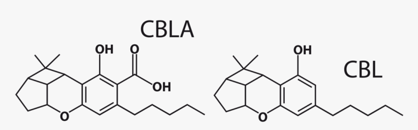 Cbla And Cbl Molecules - Epigallocatechin 3 Gallate, HD Png Download, Free Download