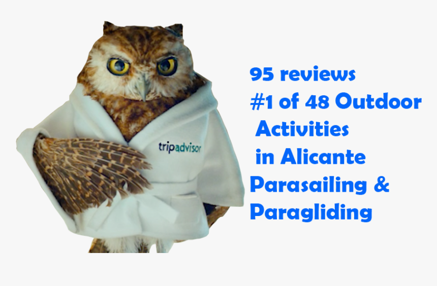 Tripadvisor-1 - Tripadvisor Owl In Bathrobe, HD Png Download, Free Download