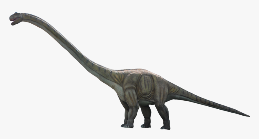 Dinosauro Png, Transparent Png, Free Download