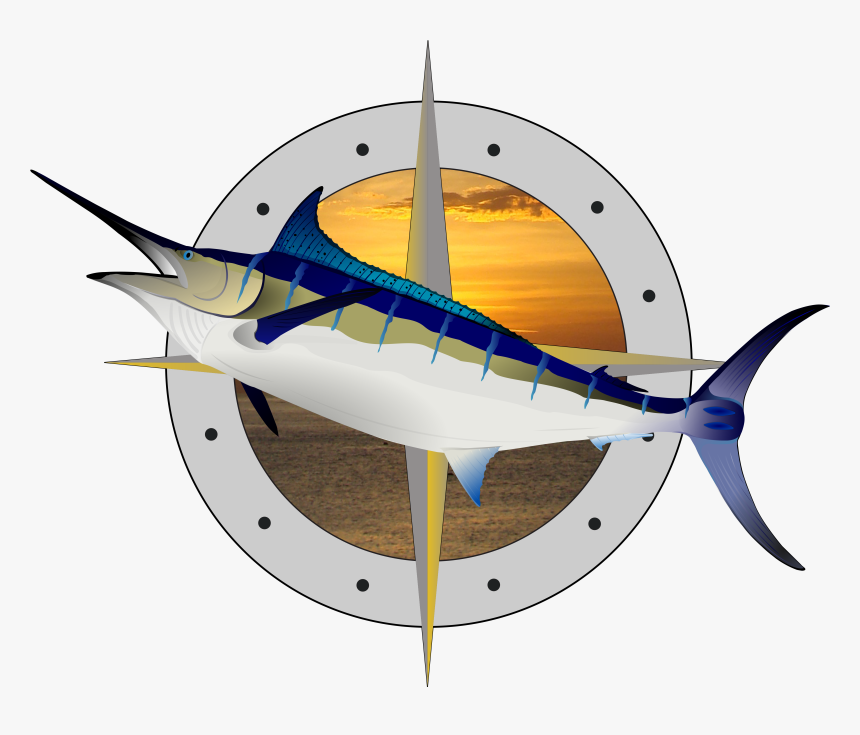 Marlin Fish Png, Transparent Png, Free Download