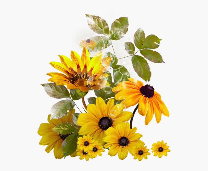 Fleurs Flores Flowers Bloemen Png Pinterest Ⓒ - Transparent Background Sunflower Png, Png Download, Free Download