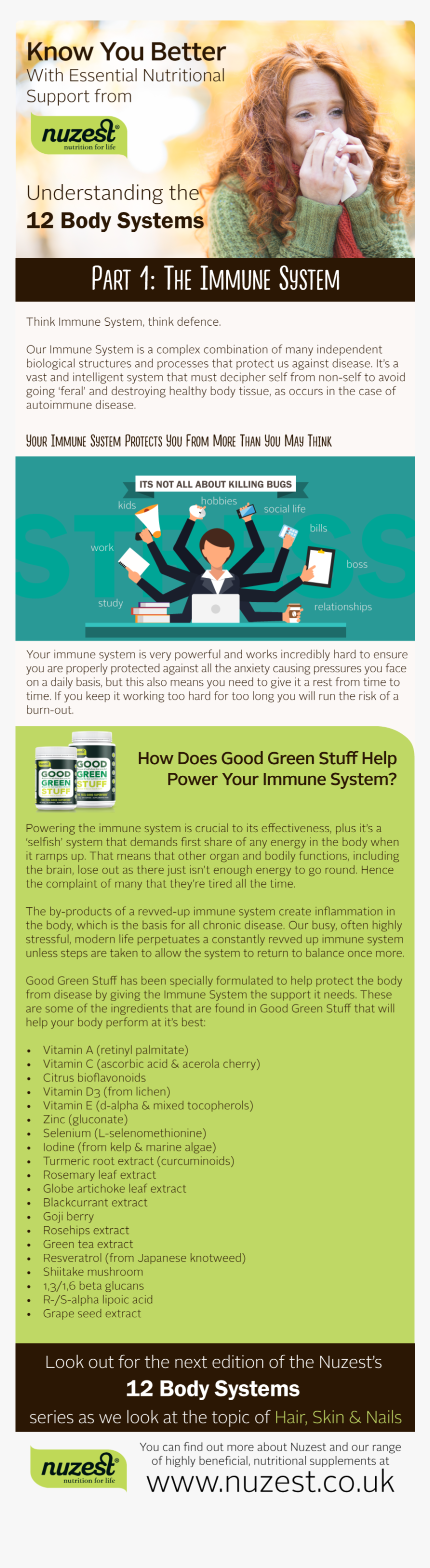 12 Body Systems Part - Flyer, HD Png Download, Free Download