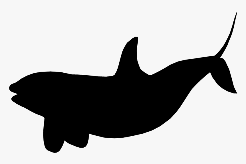 Killer Whale Transparent Background, HD Png Download, Free Download