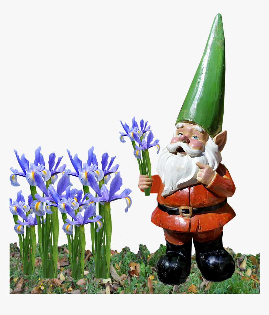 Gnome Iris Garden - Garden, HD Png Download, Free Download