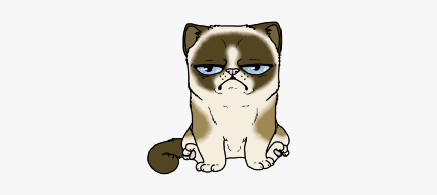 Grumpy Cat Cartoon Png, Transparent Png, Free Download