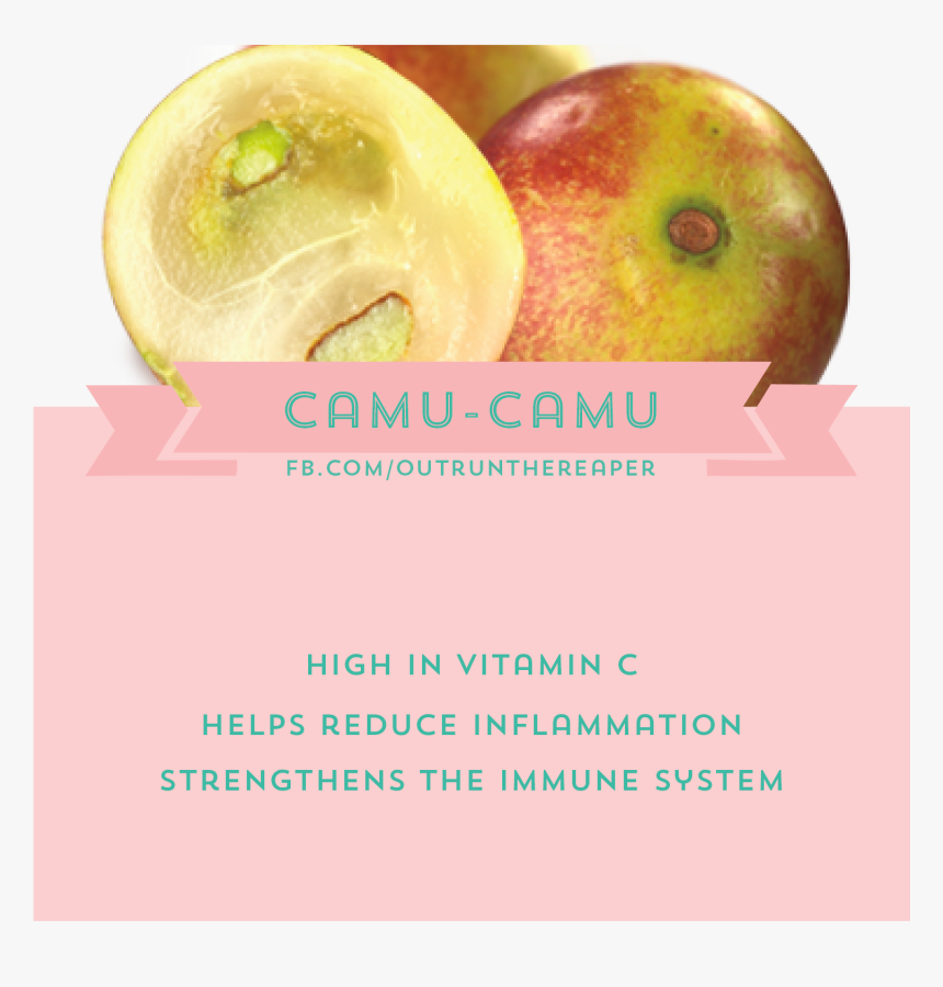 Camu-camu - Natural Foods, HD Png Download, Free Download