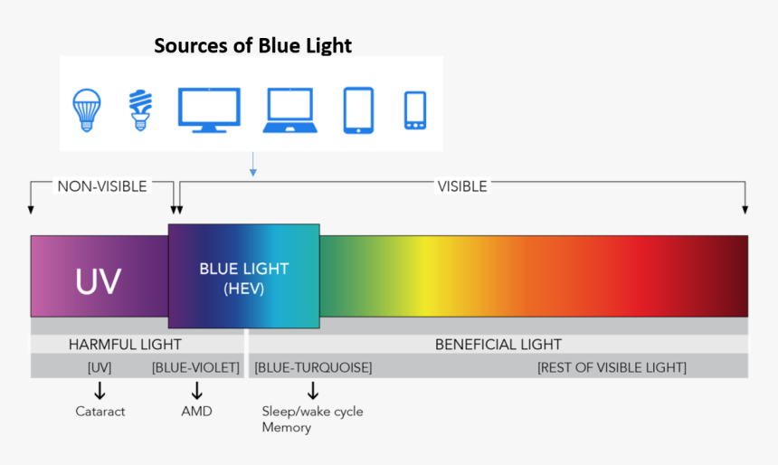 Blue Light Sources - Blue Light Spectrum, HD Png Download, Free Download