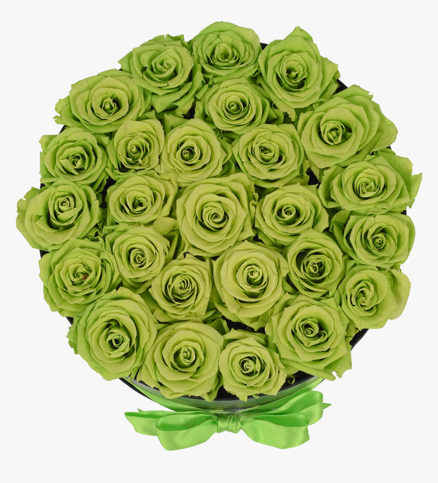Orb Grand Lime Green Roses"
 Class="lazyload Lazyload - Garden Roses, HD Png Download, Free Download