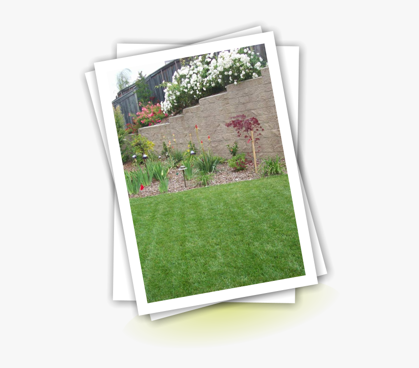 Lawn, HD Png Download, Free Download