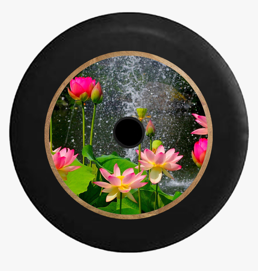 Jeep Wrangler Jl Backup Camera Lotus Blossom Waterfall - Flower Image Of Nature, HD Png Download, Free Download