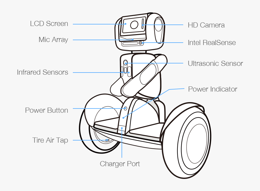 Line Art, HD Png Download, Free Download