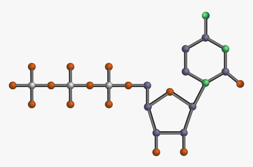 Nucleotide Clipart, HD Png Download, Free Download