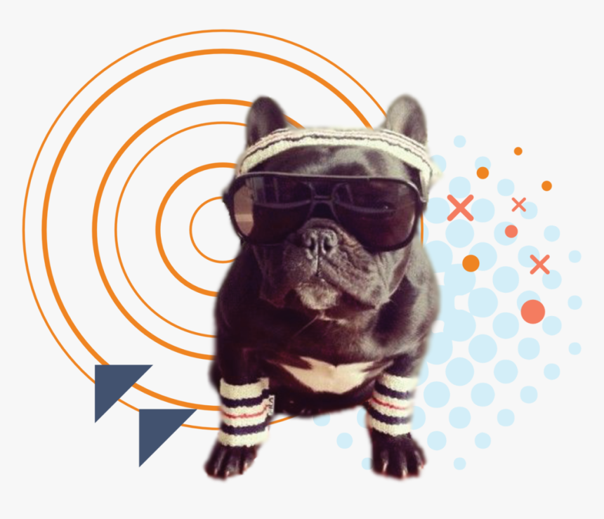 Homepage Fundz - Graphic - Adorable Frenchie, HD Png Download, Free Download