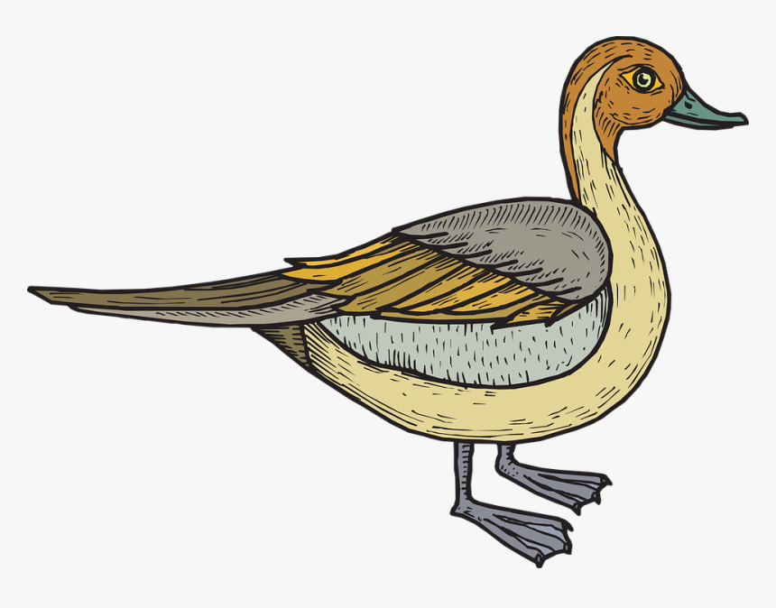 Bebek Vektor Png, Transparent Png, Free Download