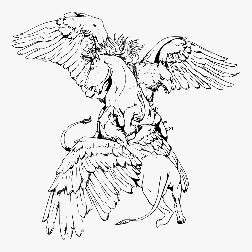 Griffons And Prey By Ladyofhats - Coloring Book, HD Png Download, Free Download