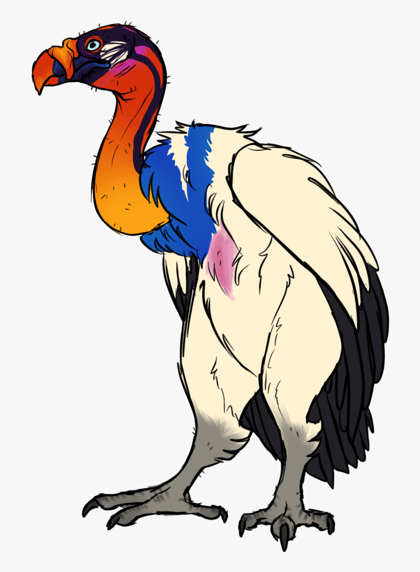 Vulture Bird Logo Transparent Png - King Vulture Transparent, Png Download, Free Download