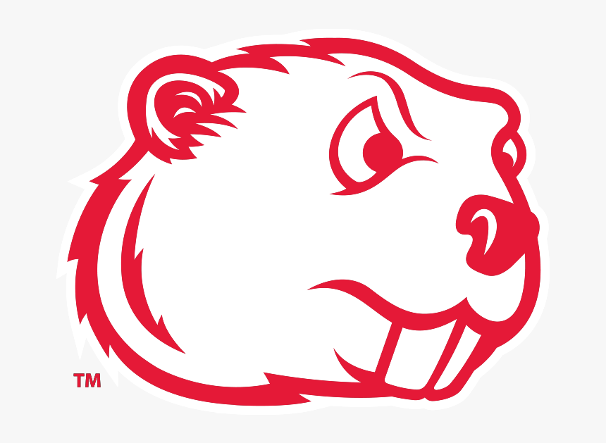 Logo - Minot State Beavers Logo, HD Png Download, Free Download