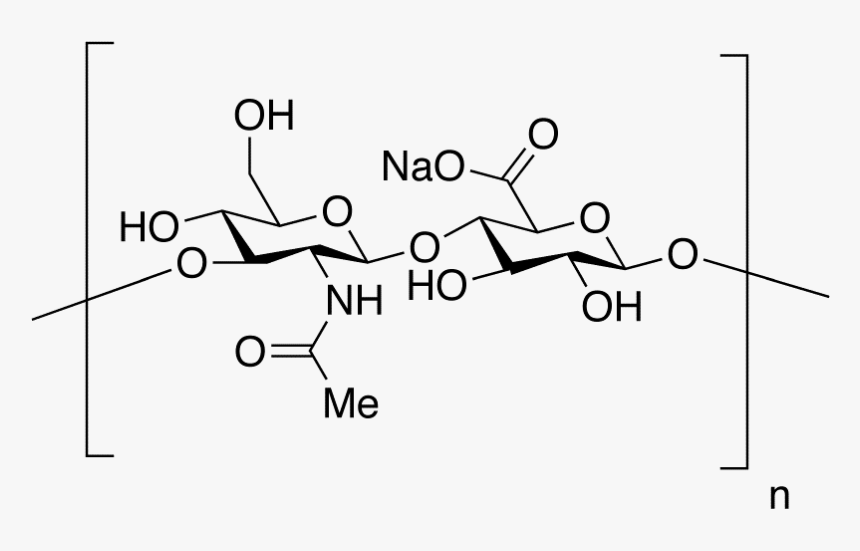 Bio Sodium Hyaluronate, HD Png Download, Free Download