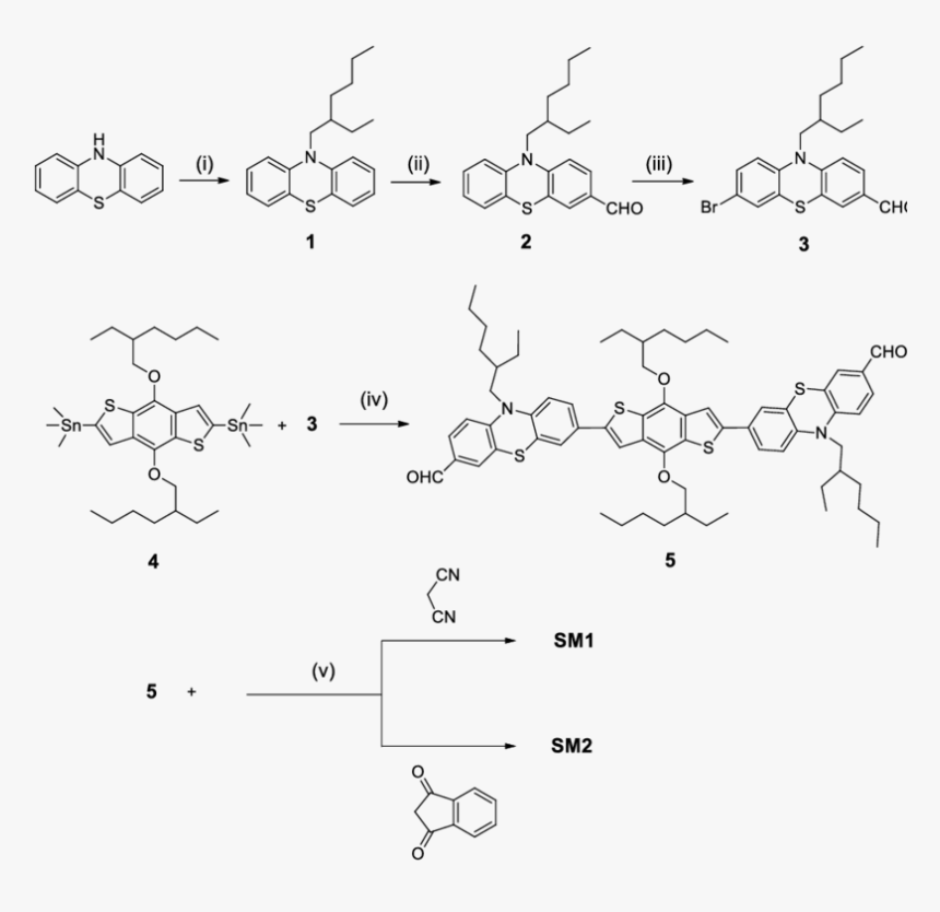 Zileuton Structure Activity Relationship, HD Png Download, Free Download