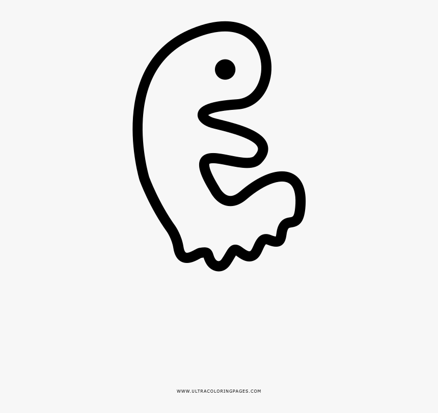 Embryo Coloring Page - Line Art, HD Png Download, Free Download