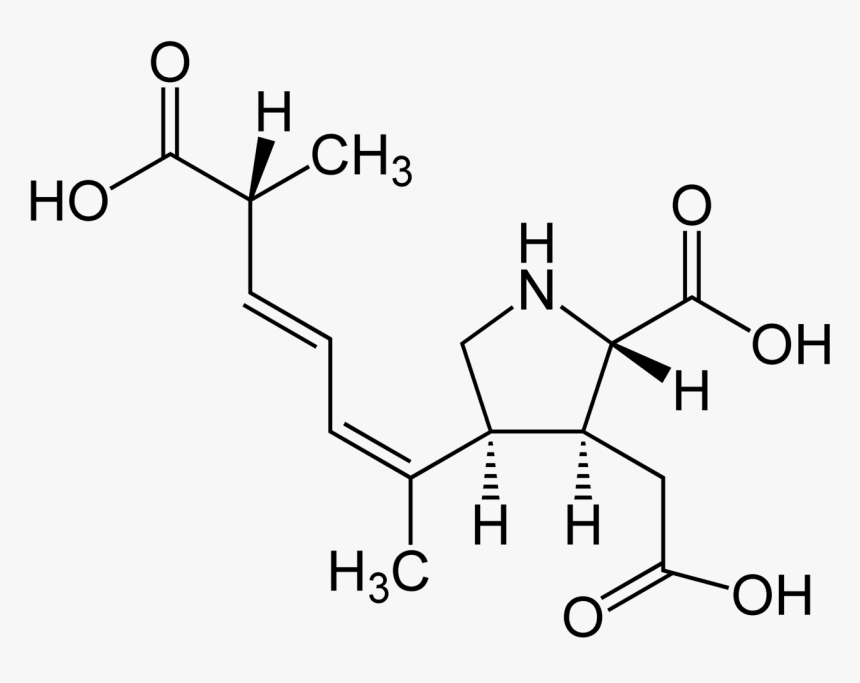 Domoinic Acid Structural Formulae - N Carbamoyl L Glutamic Acid, HD Png Download, Free Download