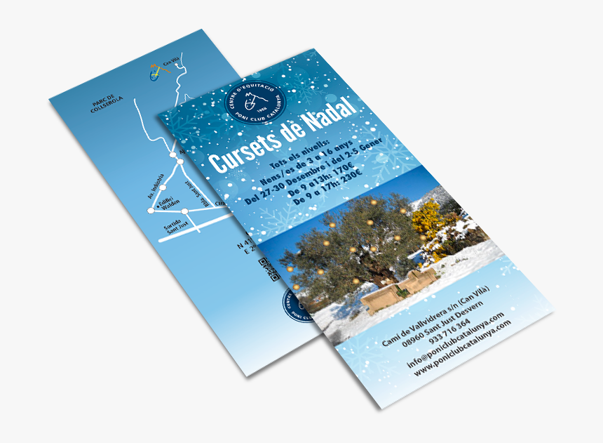 2016 Christmas Campaign For Cepcc - Flyer, HD Png Download, Free Download