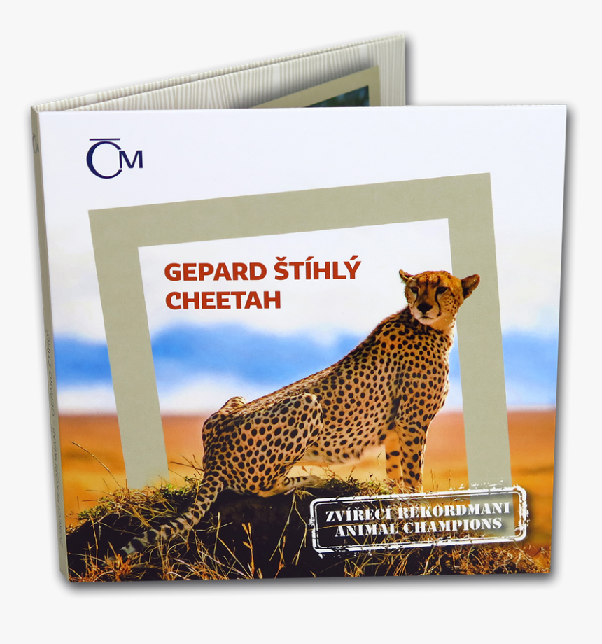 Cheetah, HD Png Download, Free Download