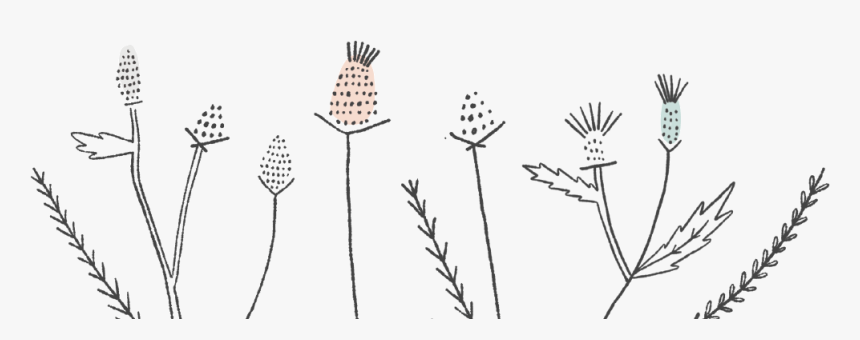 Taitthistle-footer - Line Art, HD Png Download, Free Download