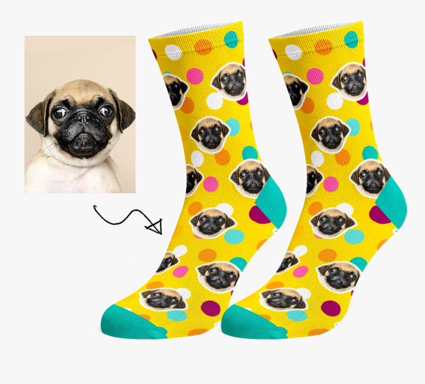 Pug, HD Png Download, Free Download