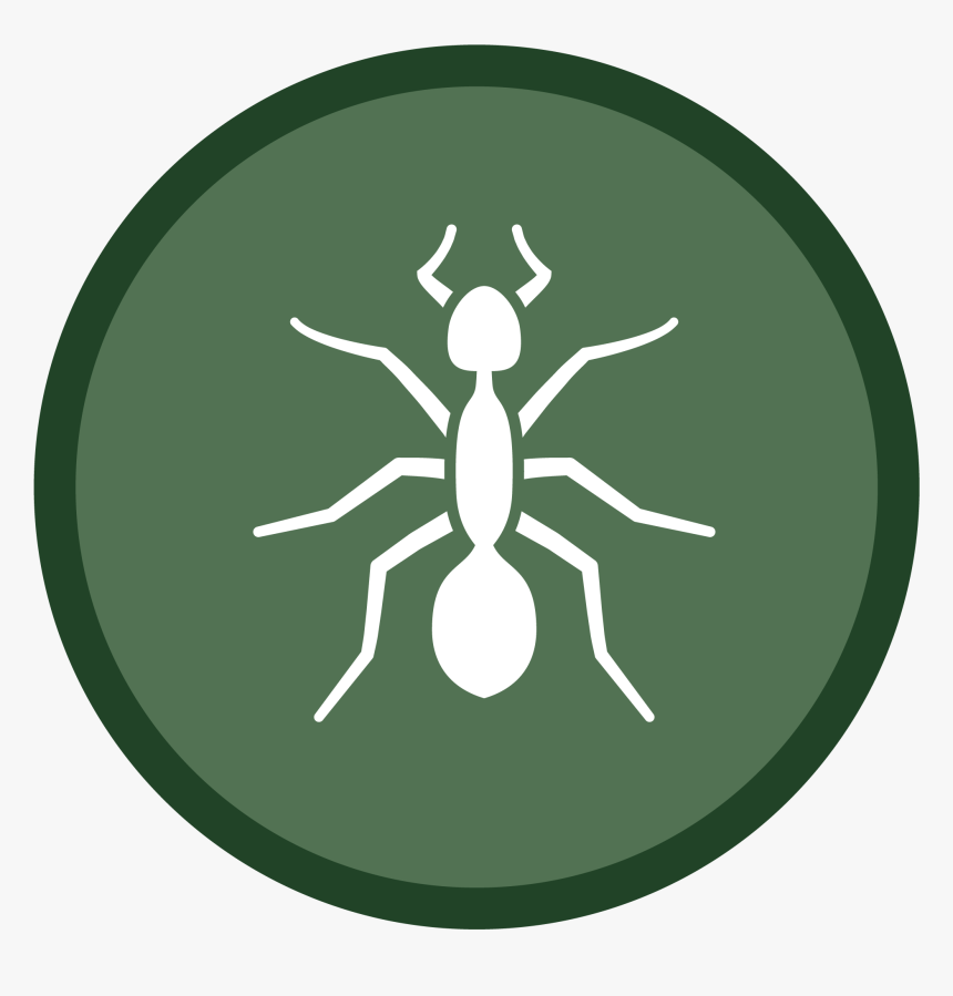 Ant Icon-02 - Broome Community College Hornets, HD Png Download, Free Download